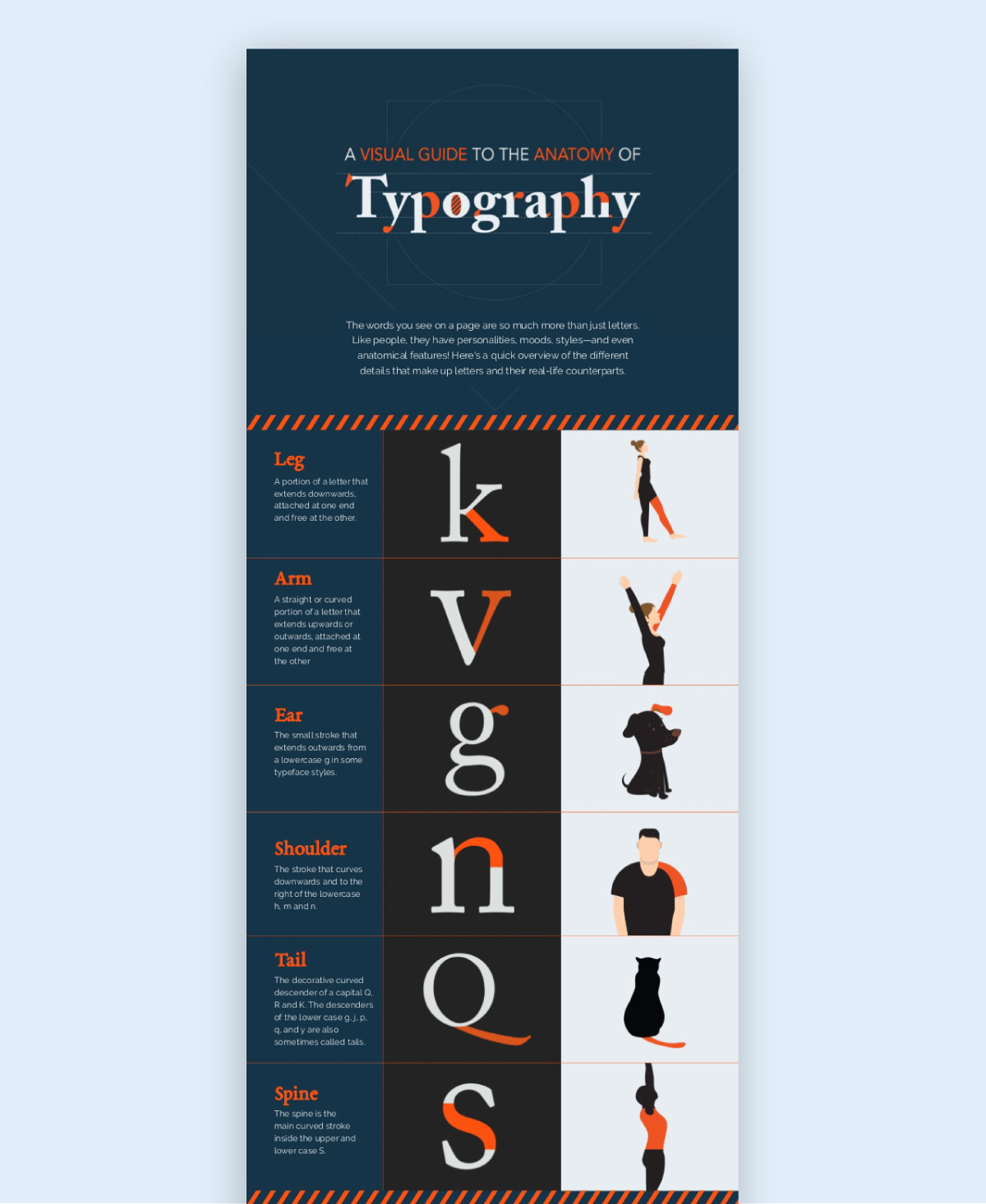 social media infographic - stay consistent