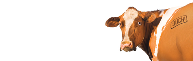 習慣做奴隸的牛牛們