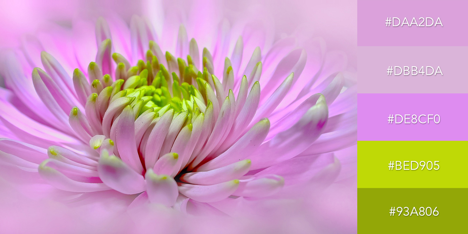 50 Beautiful Color Combinations (And How to Apply Them to Your Designs)