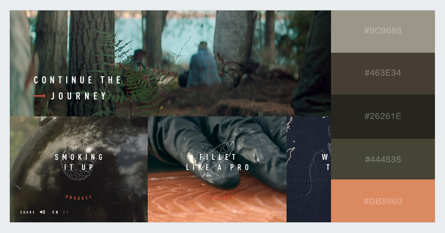 brand visual voice color scheme