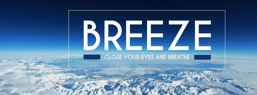 social media graphic template visme