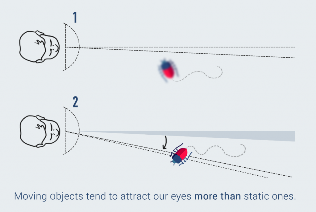 moving-objects-attract-the-eyes-perception-the-visual-brain