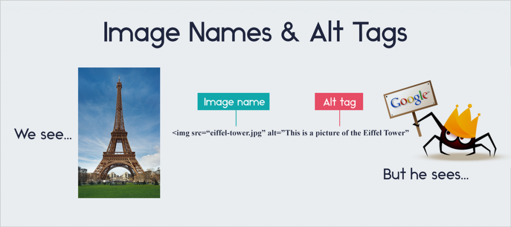 Tags-and-Keywords traits shared by viral infographics