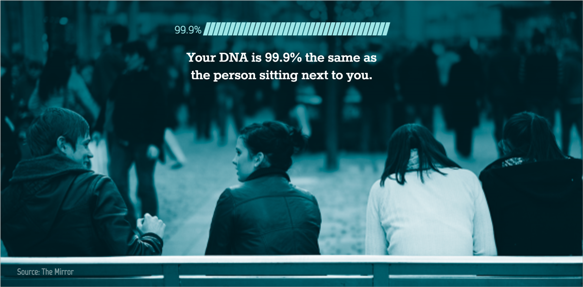 visual statistics Your DNA is 99.9% the same as the person sitting next to you