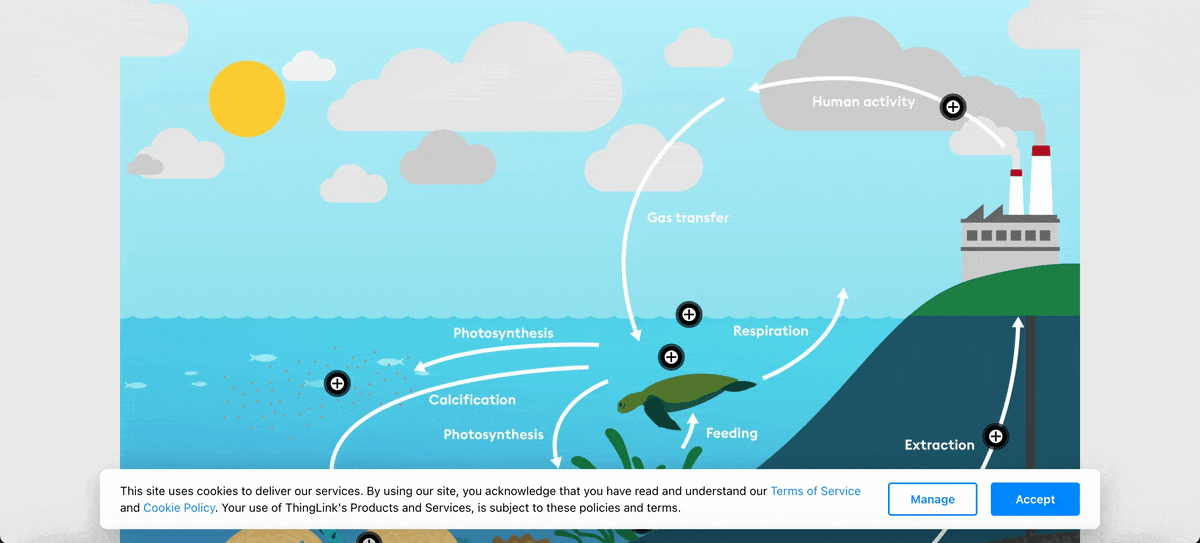 Infographic Ideas - Clone of Carbon cycle