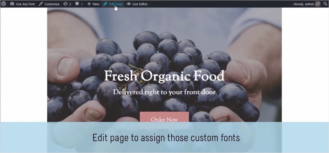 Fonts-plugin-Use-Any-Font