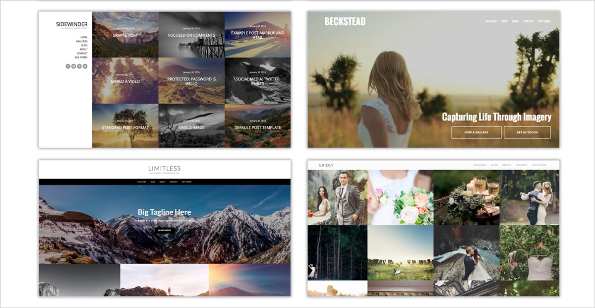 Gallery-plugins-NextGen-Gallery