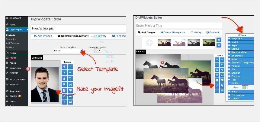 Image-Editing-Plugins-DigiWidgets-Plugin