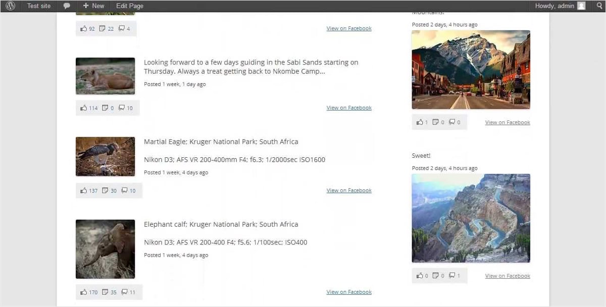 Social-Media-Plugins-Custom-Facebook-Feed-2