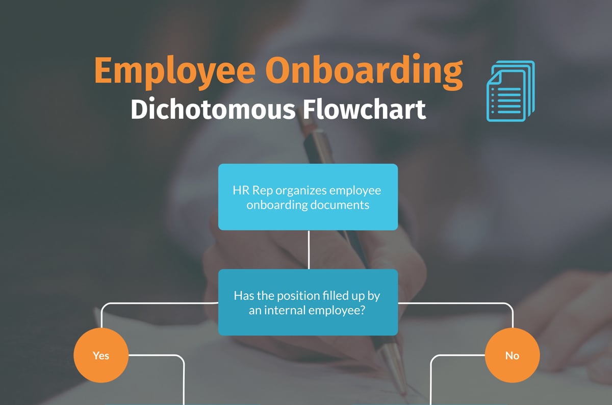 A dichotomous key template available in Visme.