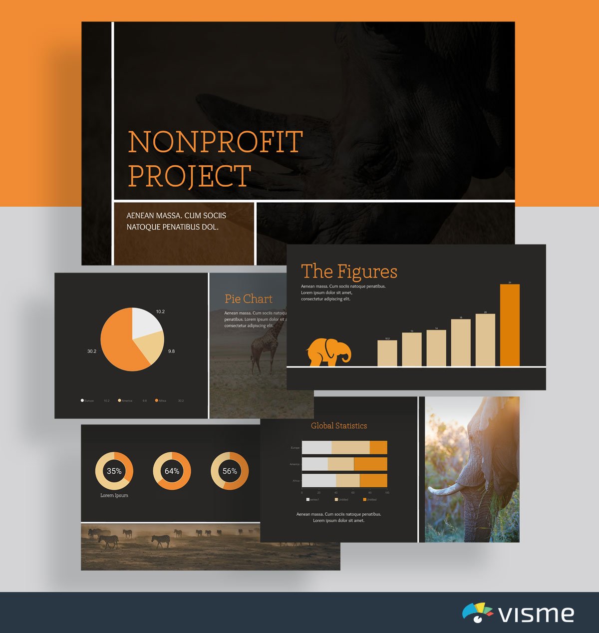 presentation slides - nonprofit animals template visme