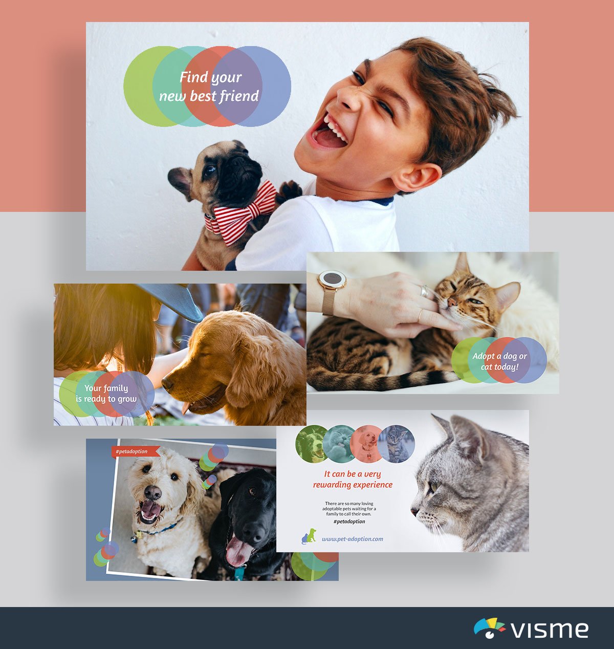 presentation slides - pet adoption slideshow template visme