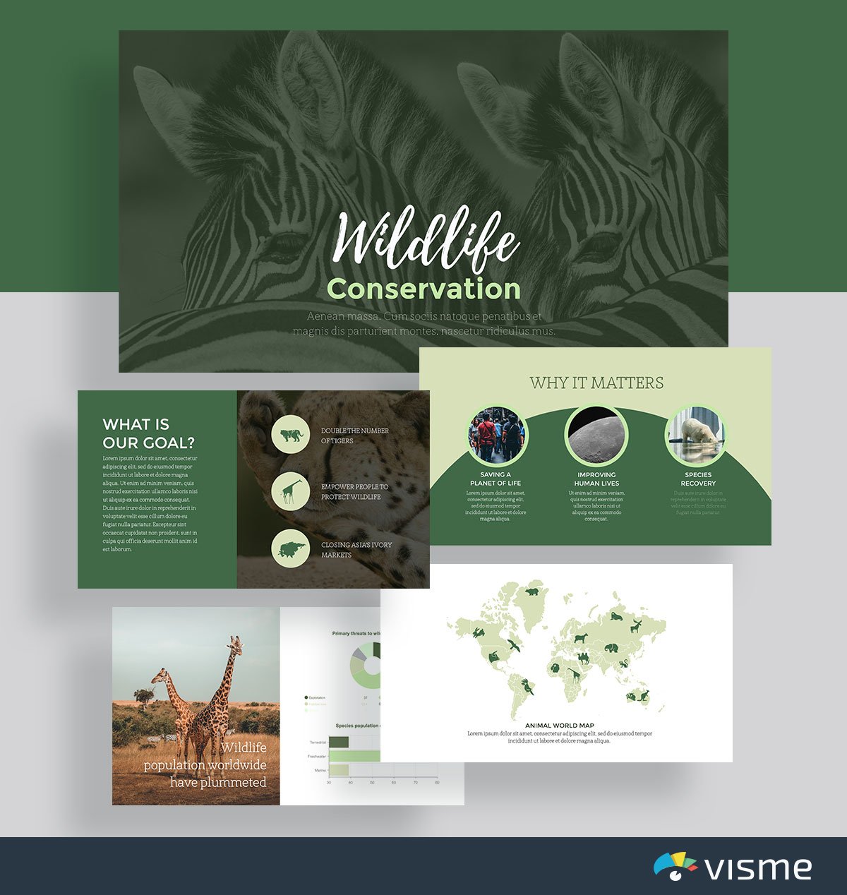 presentation slides - wildlife conservation template visme