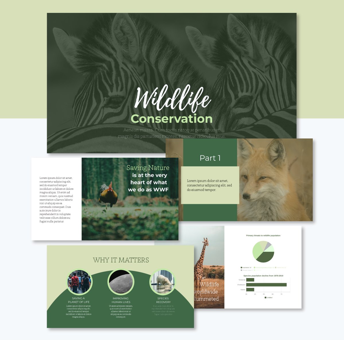 Nature Presentation Layout 