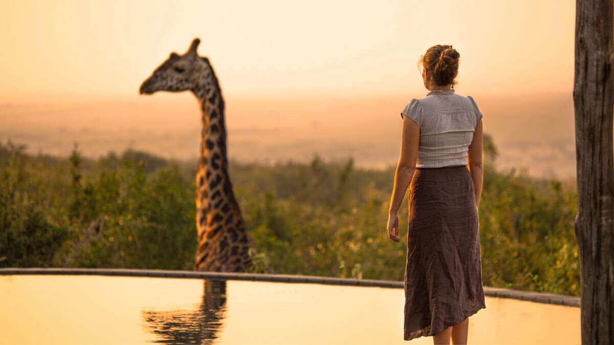 how to use presentation images - feature