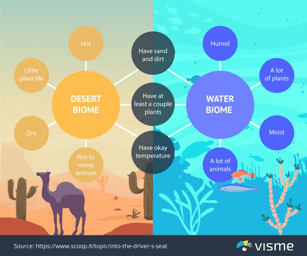 15 Different Types of Graphic Organizers for Education