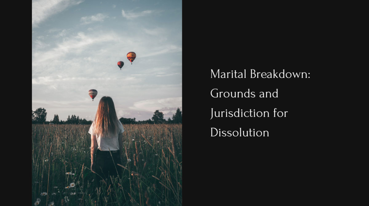 visme law professor - slideshow example