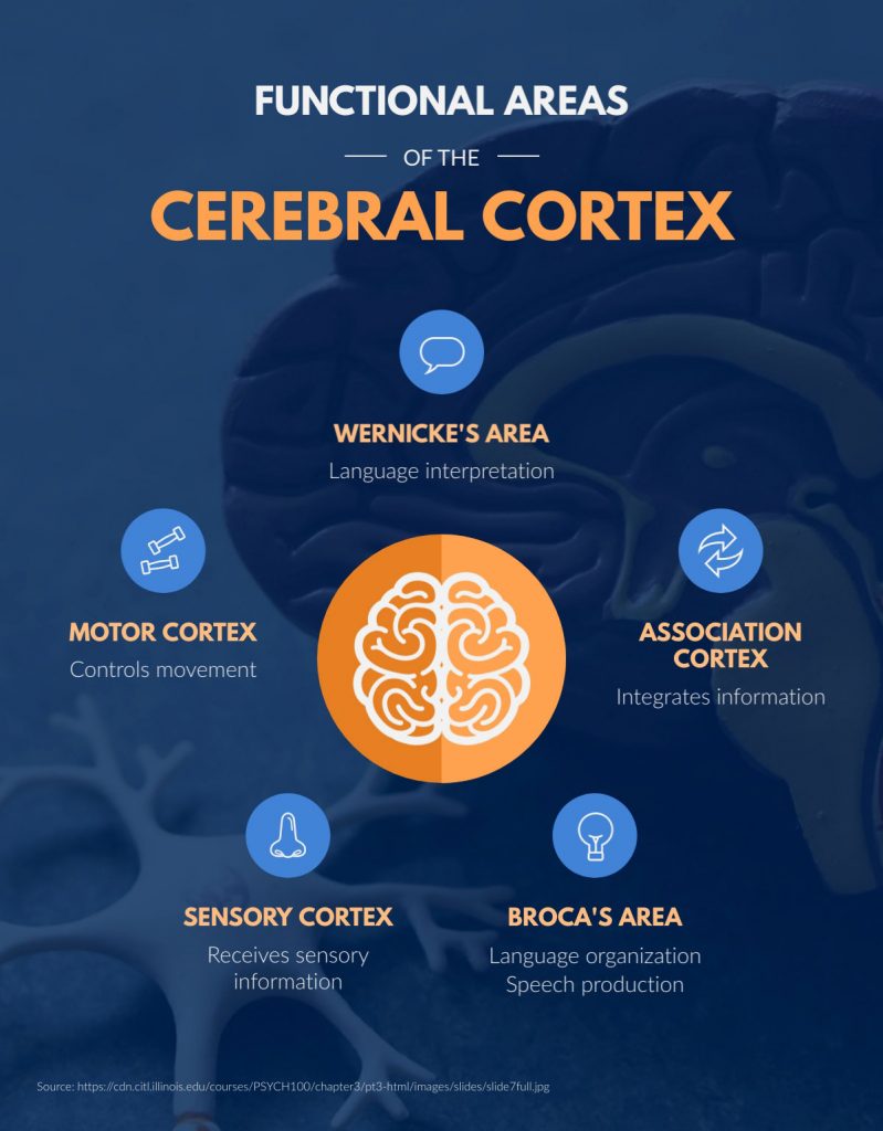 What Is Visual Communication and Why Is It Important