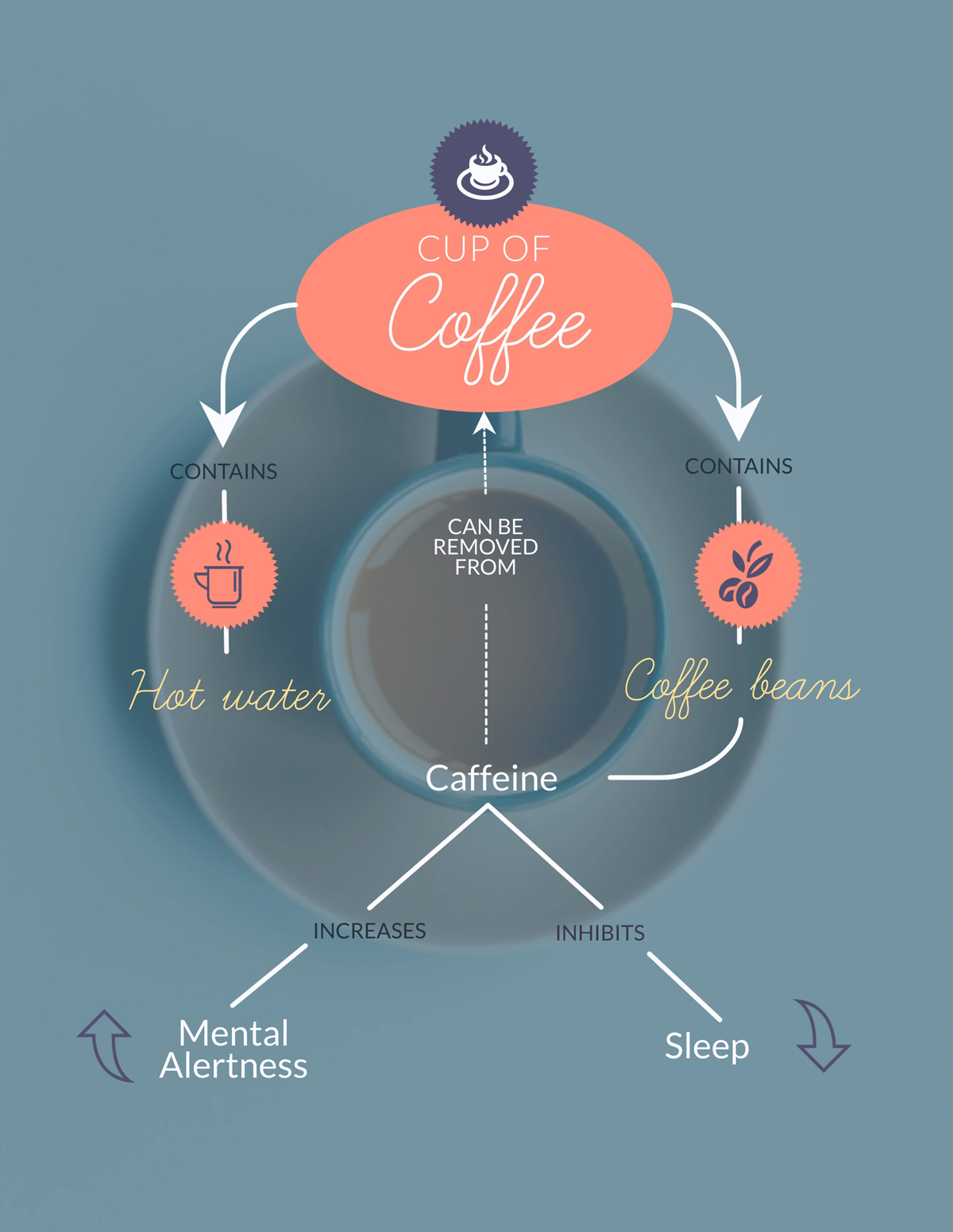 educational infographics - hierarchical infographic example