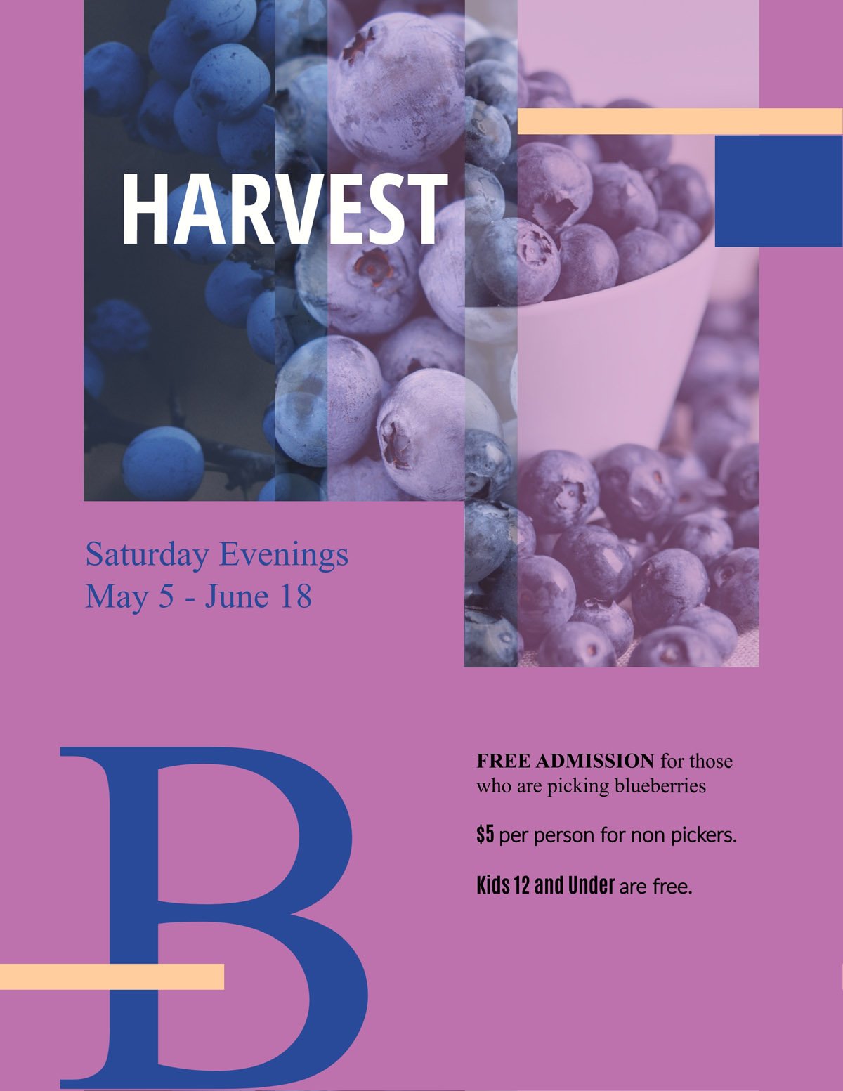 flyer templates - blueberries organic farm