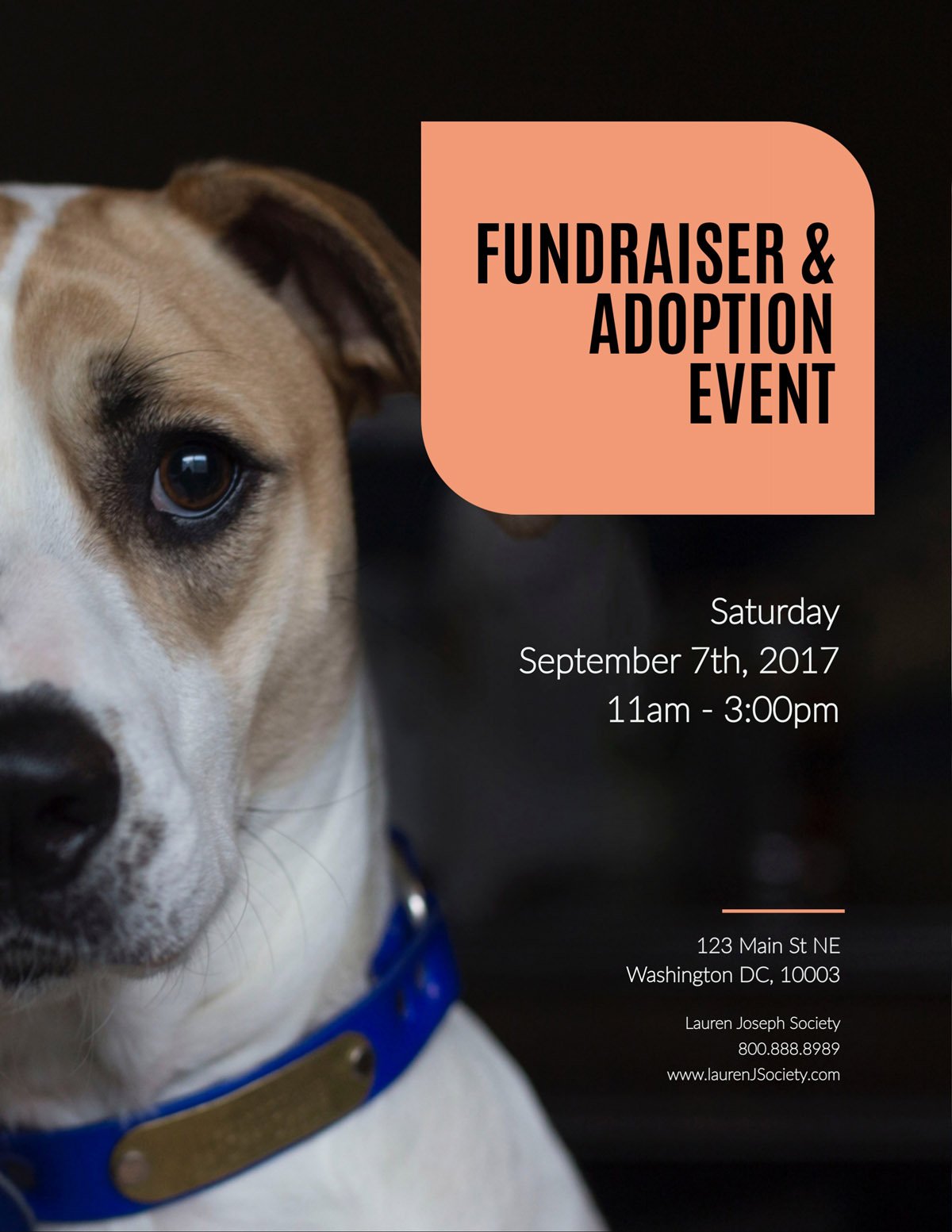 flyer templates - nonprofit adoption fundraiser