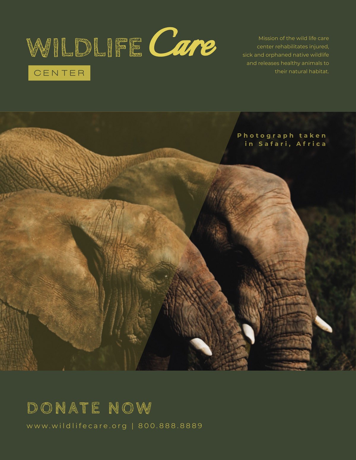 flyer templates - wildlife care