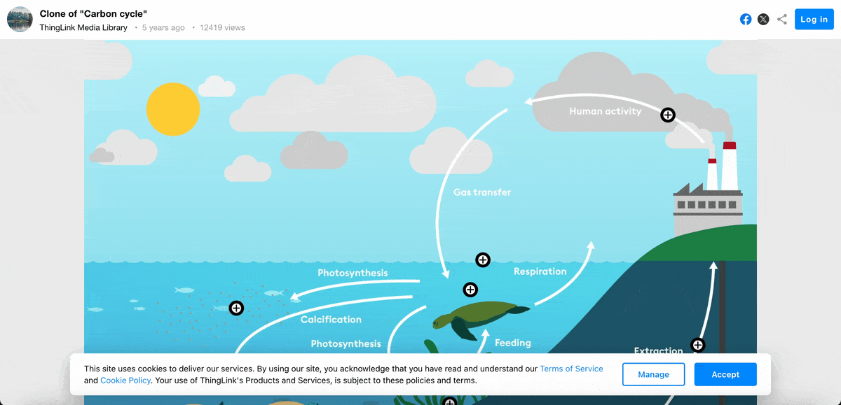 Real Life Interactive Infographic Example