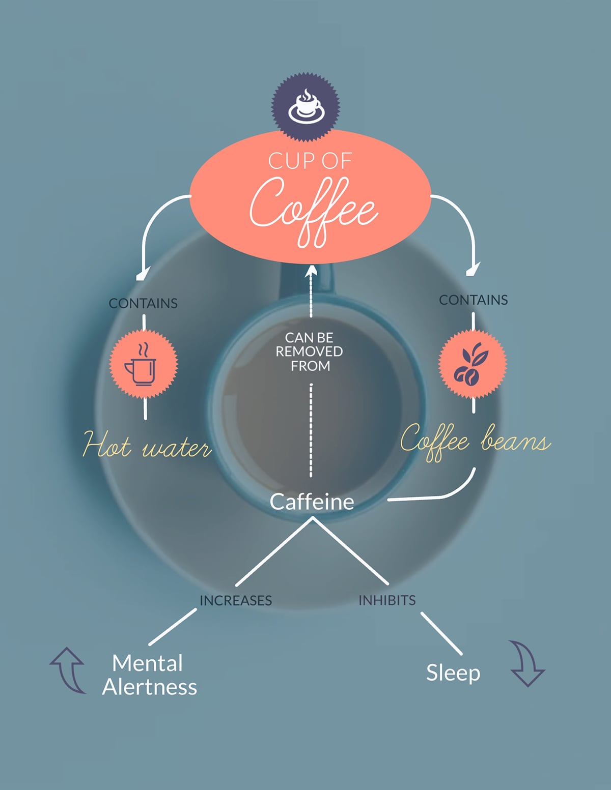 Coffee Concept Map infographic template