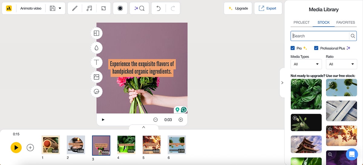 best adobe express alternatives - Animoto