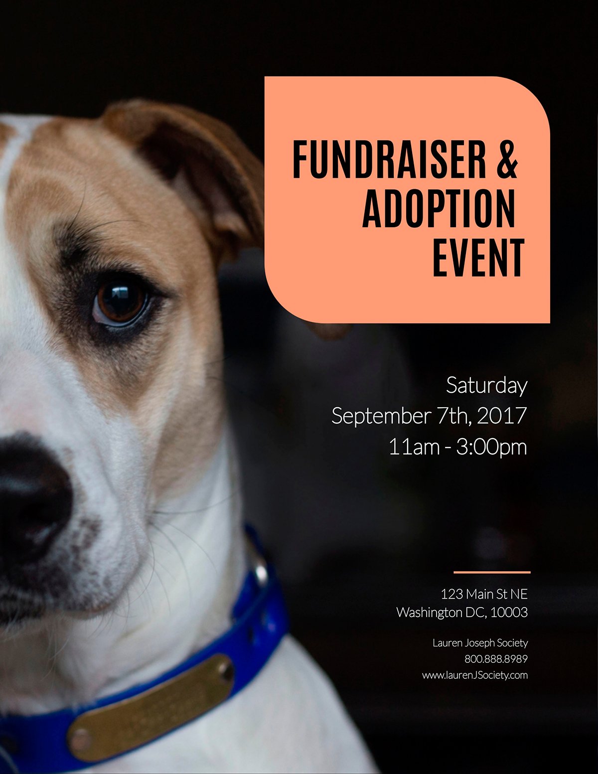 Pet adoption flyer template available in Visme.
