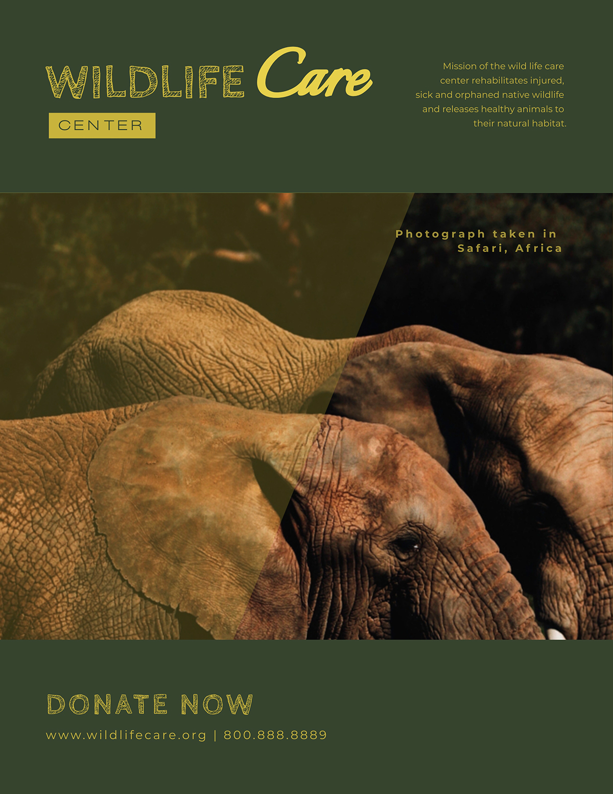 An elephant nonprofit flyer template available in Visme.