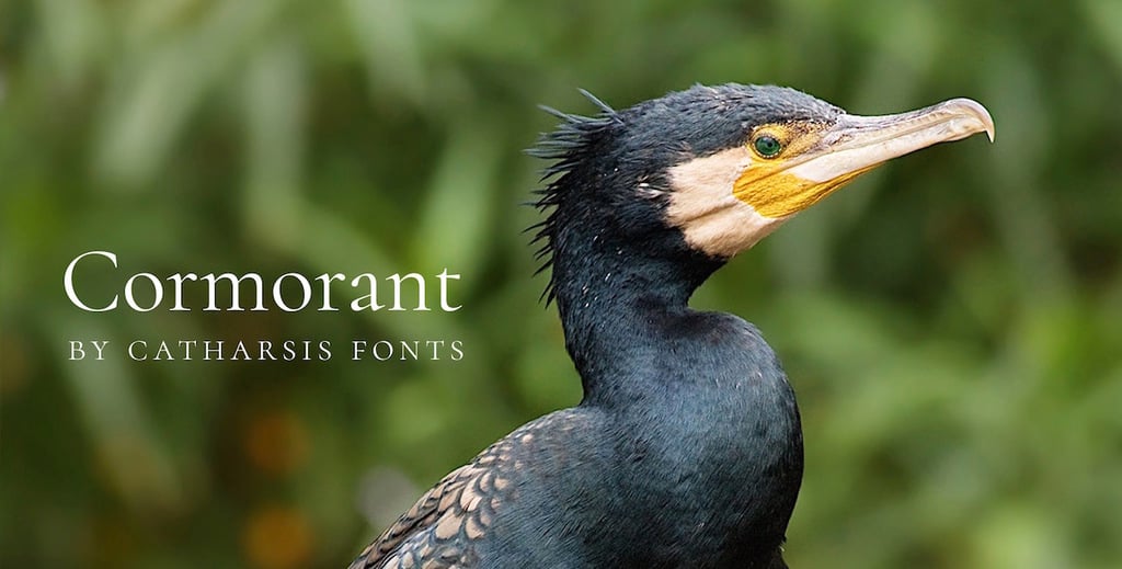 The font Cormorant.