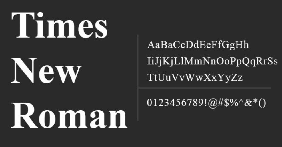 The font Times New Roman.