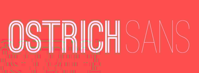The font Ostrich Sans.