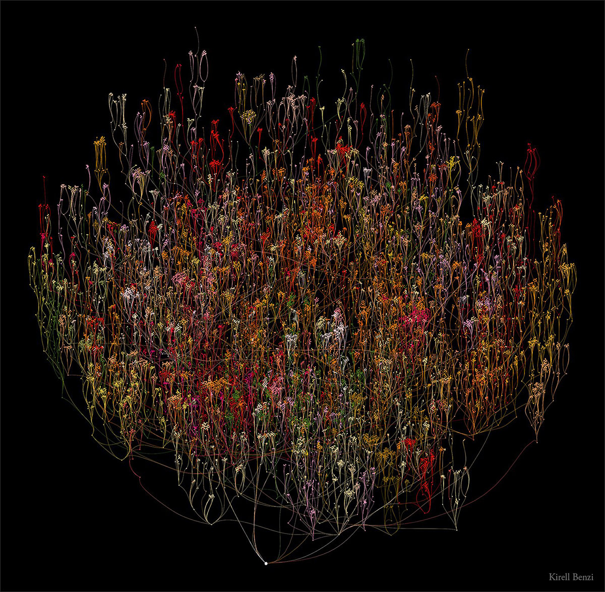 A data visualization showcasing hierarchical positions of employees in a corporation.