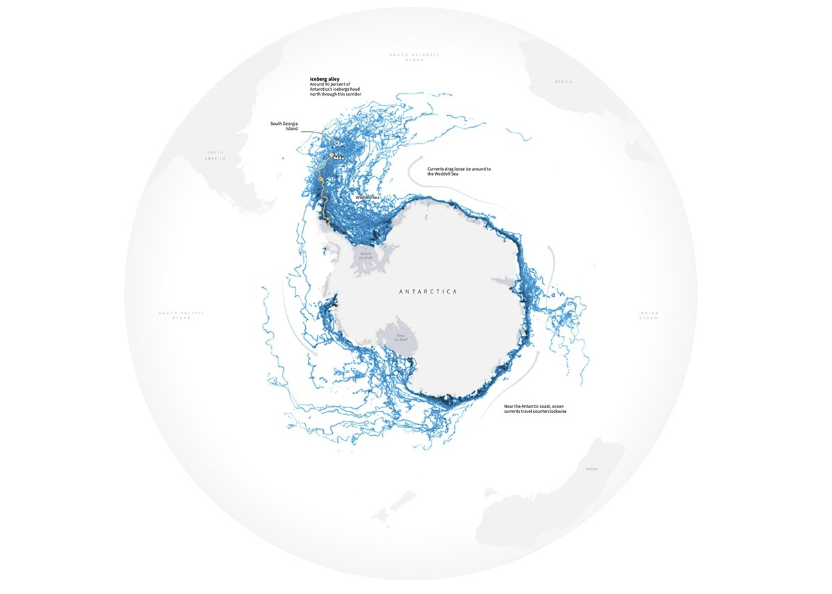 A data visualization of icebergs due to climate change.