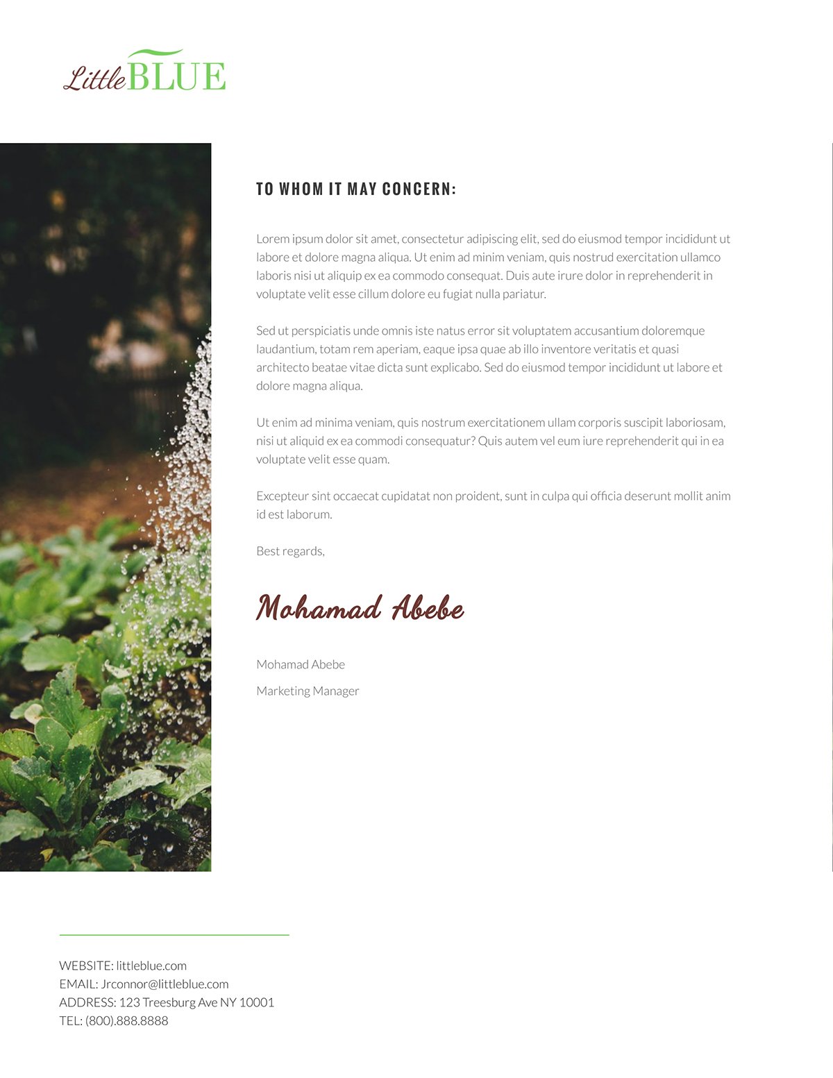 A food styling letterhead template available to customize in Visme.