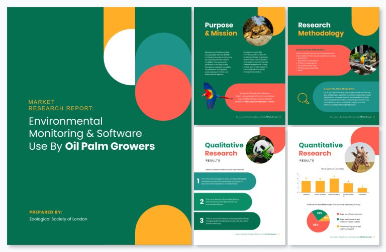 14 Types of Reports and When to Use Them (+ Templates)