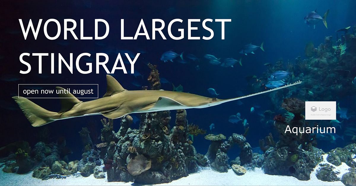 A Facebook post template available to customize in Visme.