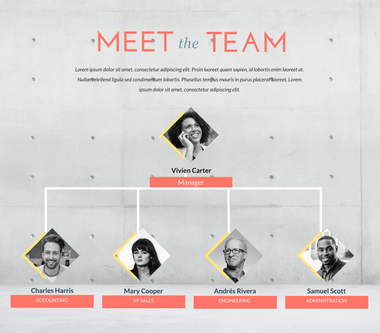 How to Develop an Organizational Structure Template for Your Company