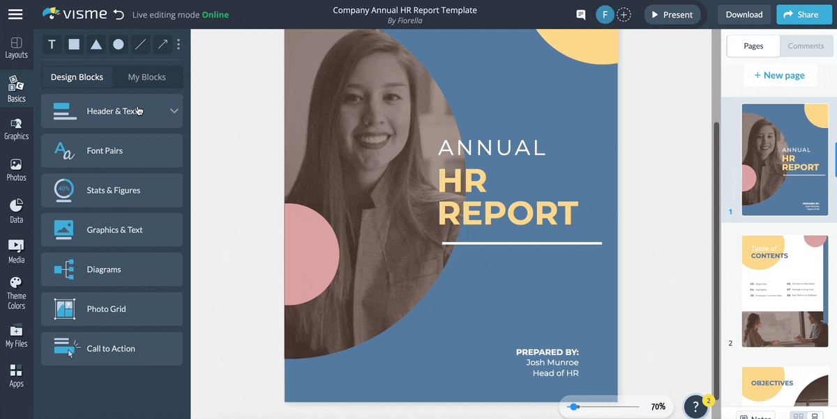 hr report - Visme dynamic fields