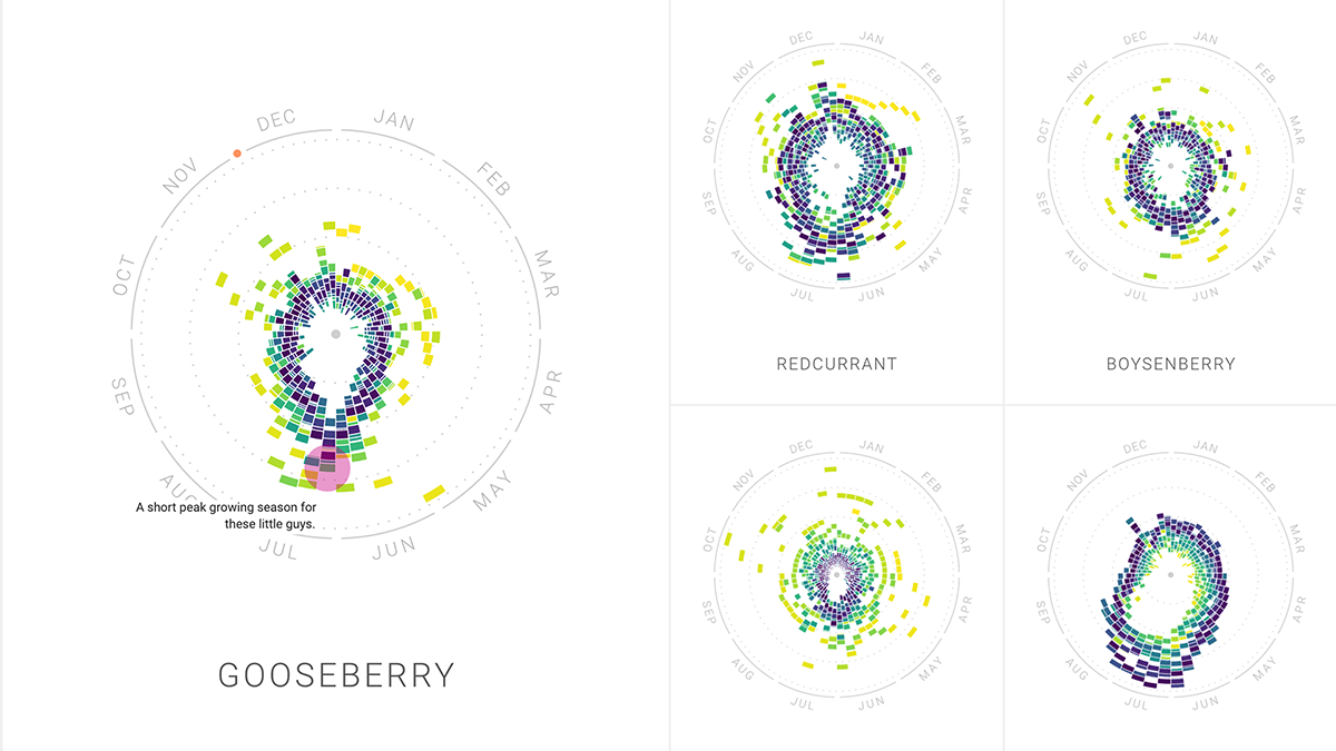 Radar Chart Rhythm of Food by Moritz Stefaner and Yuri Vishnevsky, Simon Rogers, Alberto Cairo et al