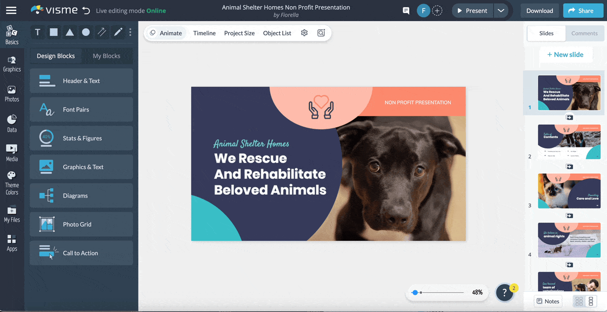 A Gif of changing color and text in Visme