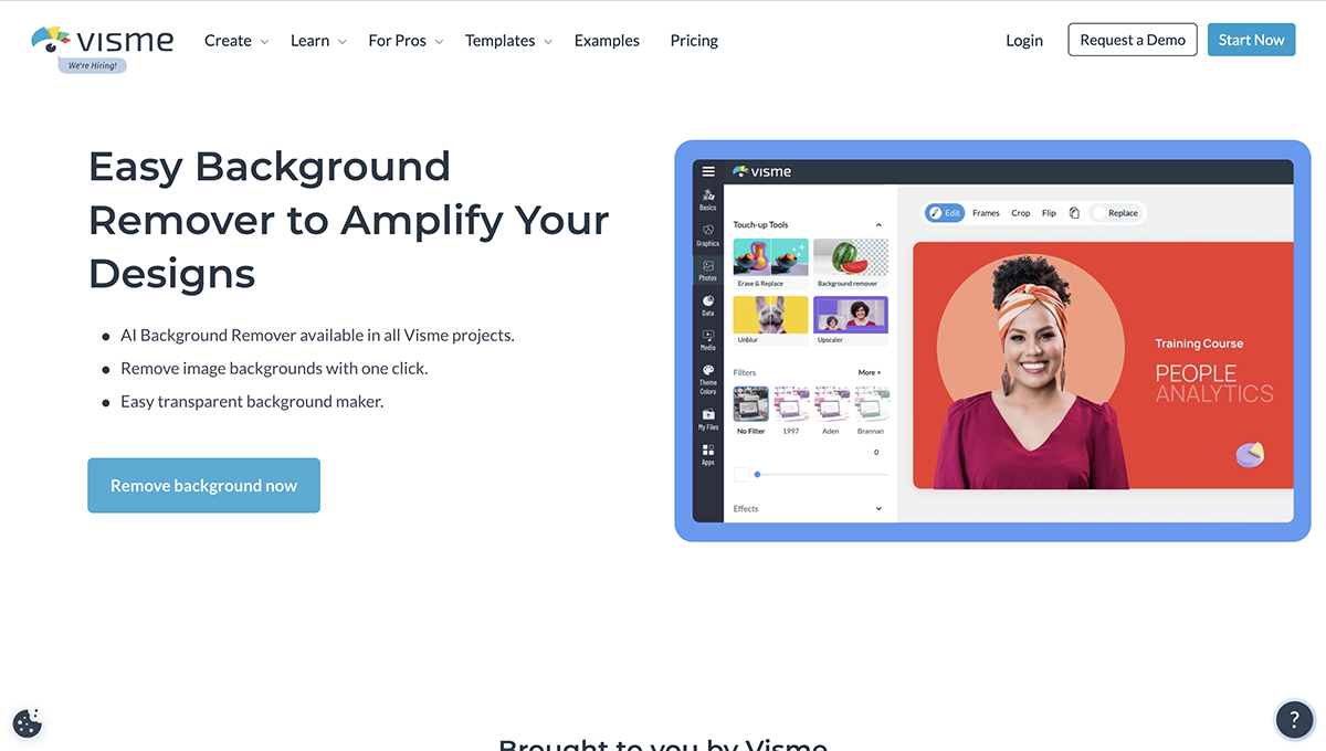 How to Remove Something From a Picture - Visme home page