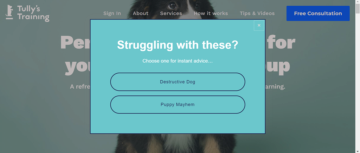 Website pop examples - Tully's Training