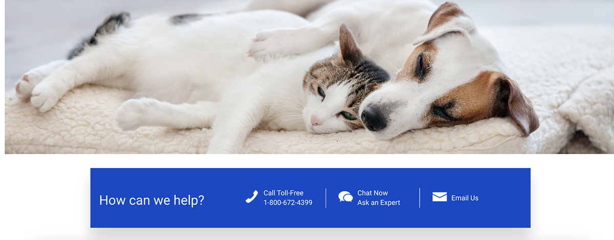 contact us page examples - Chewy