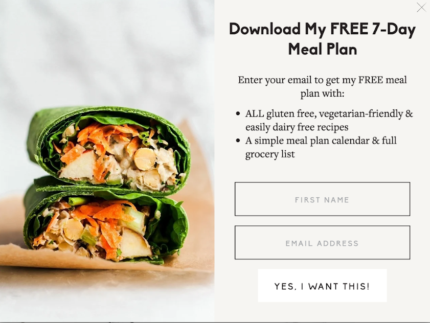 Brand Lead Magnet Examples