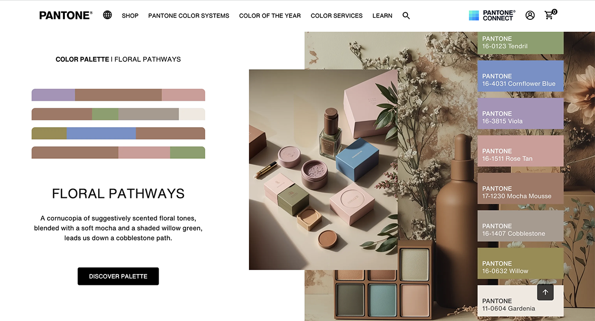 Mocha Mousse Pantone Color of the year 2025