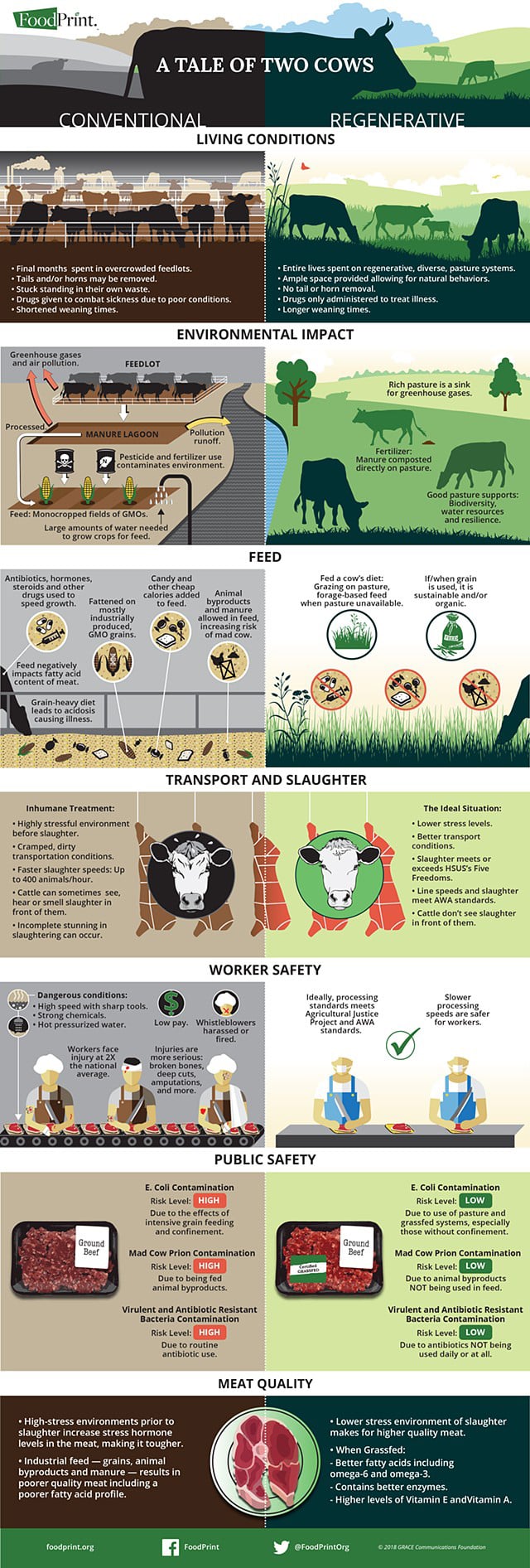 best infographic examples - The Footprint of Beef