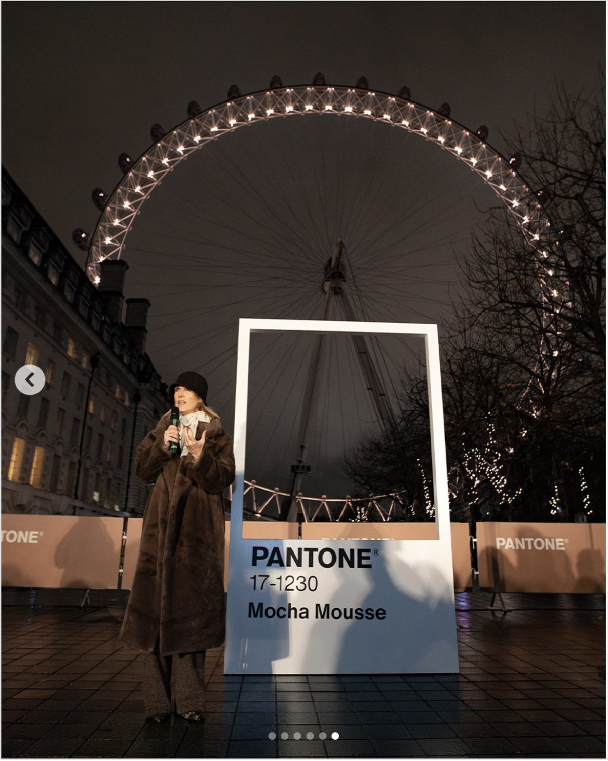 What Is the Pantone Color of the Year 2025